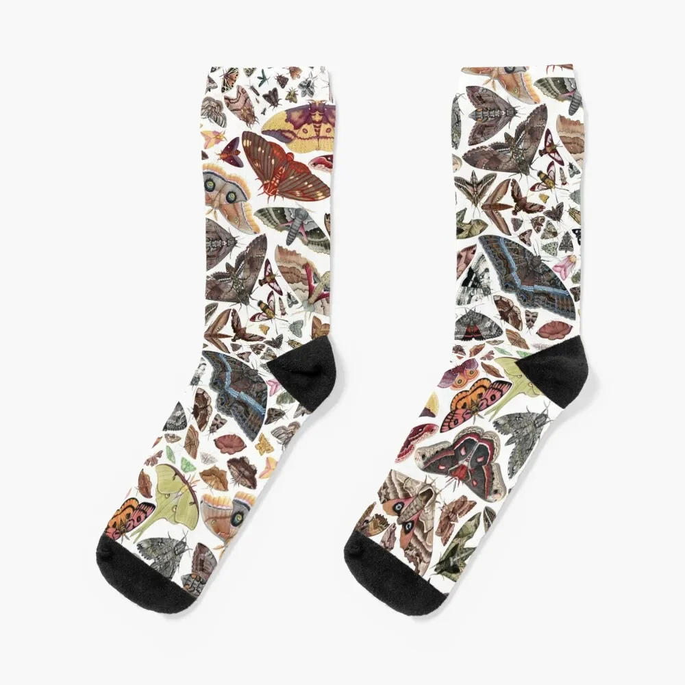 Moths of North America Pattern Socks Crossfit designer football Socks Ladies Men's
Moths of North America Pattern Socks Crossfit designer football Socks Ladies Men's