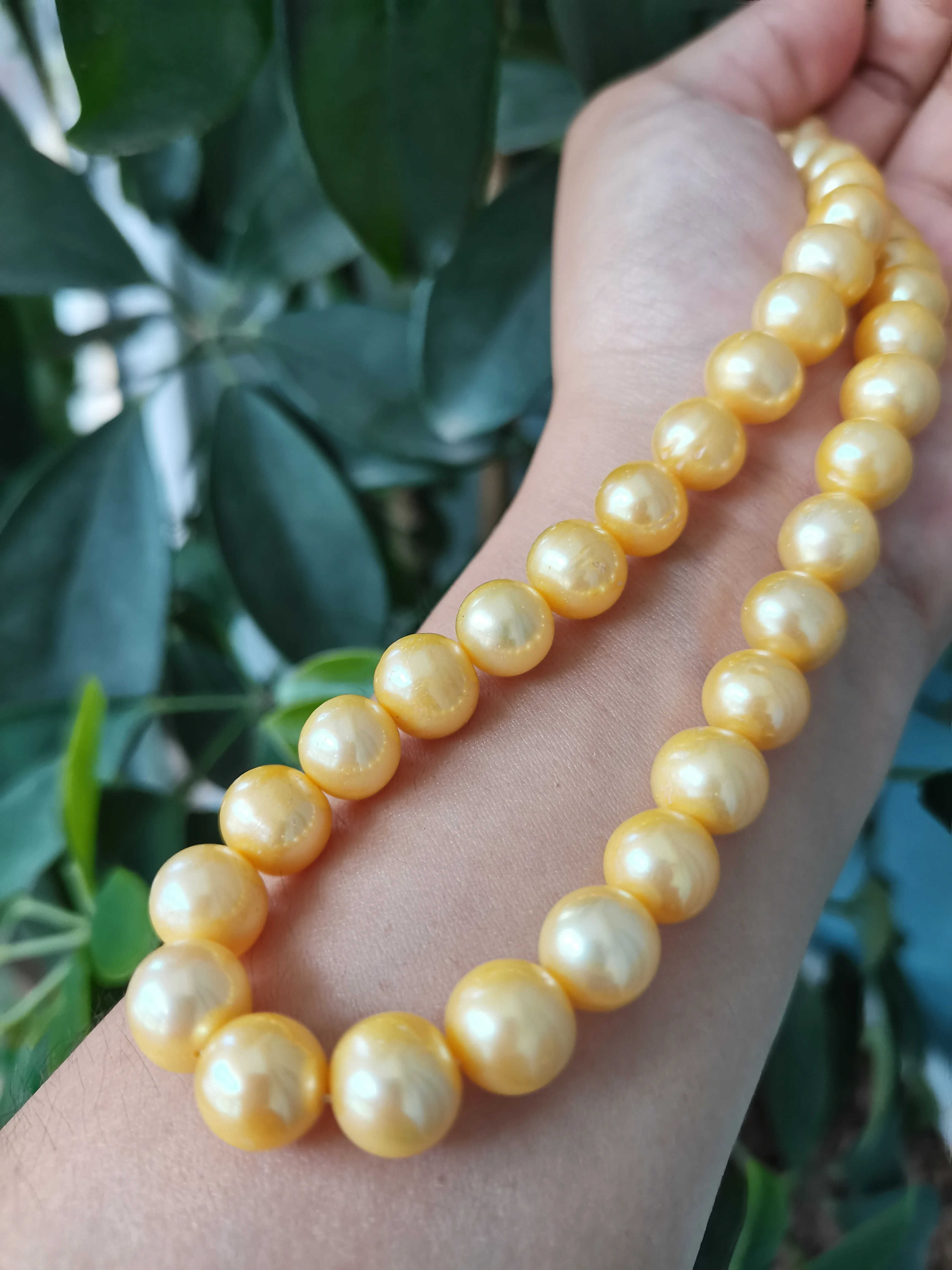 

AAAA 10-11 мм натуральное круглое ожерелье из таитянского золота с жемчугом 14 карат золотые изысканные ювелирные изделия подарки