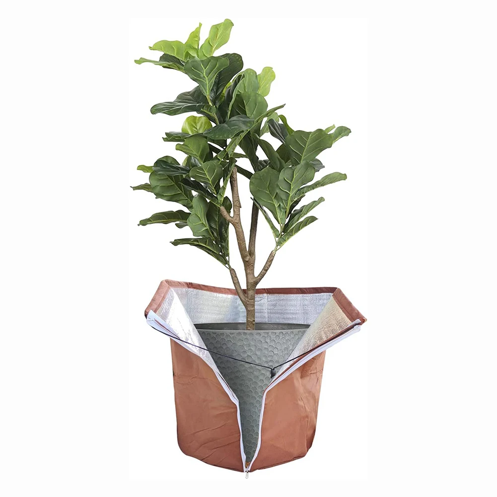 Plant Cover Breathable Tree Winter Shrub Plant Protecting Bag Anti-tear Warm Tree Frost Blanket Winter Tree Freeze Protection
Plant Cover Breathable Tree Winter Shrub Plant Protecting Bag Anti-tear Warm Tree Frost Blanket Winter Tree Freeze Protection