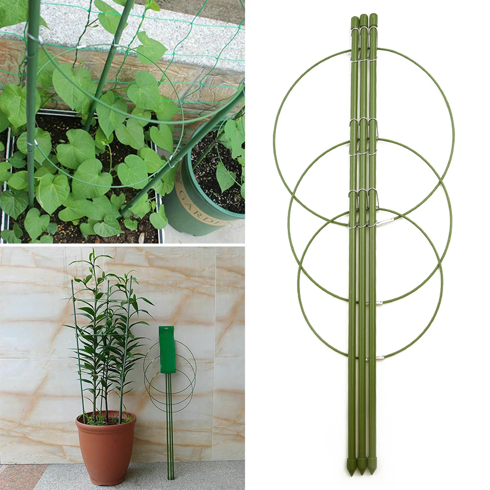 Trellis Plant Support Stand Durable Reliable Tomato 45cm Cage Climbing Easy to install Flowers Home Replacement
Trellis Plant Support Stand Durable Reliable Tomato 45cm Cage Climbing Easy to install Flowers Home Replacement