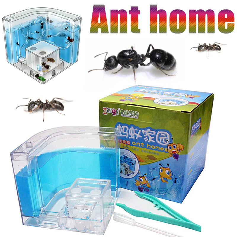 Ant House Insect Observation Box Castle Transparent Insect Breeding Box Ant Parenting Educational Model Environmental Toys
Ant House Insect Observation Box Castle Transparent Insect Breeding Box Ant Parenting Educational Model Environmental Toys