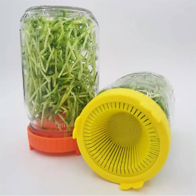 Growing Bean Indoor Sprouting Lid 86mm Wide Mouth Jar Screen Sprouting Strainer Lid Kit For Mason Jar Household Supplies
Growing Bean Indoor Sprouting Lid 86mm Wide Mouth Jar Screen Sprouting Strainer Lid Kit For Mason Jar Household Supplies