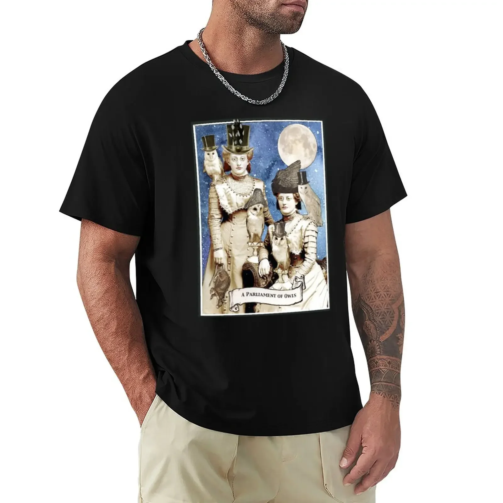 A Parliament of Owls T-Shirt plain summer clothes plus size tops Short sleeve tee men
A Parliament of Owls T-Shirt plain summer clothes plus size tops Short sleeve tee men