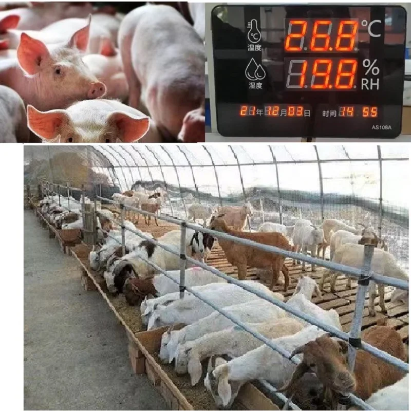 Wall Hanging Thermometer Humidity Meter Hygrometer Breeding Temperature Controller Indoor Wall-mounted Greenhouse
Wall Hanging Thermometer Humidity Meter Hygrometer Breeding Temperature Controller Indoor Wall-mounted Greenhouse