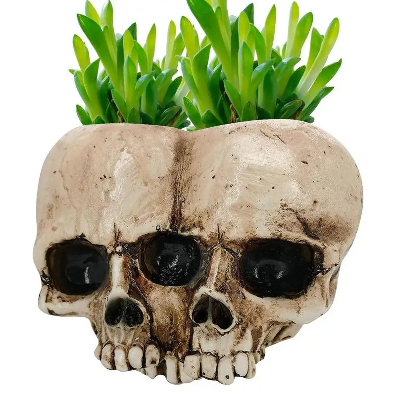 Resin Crafts Human Tooth Skull Fossils Teaching Skeleton Model Halloween Home Office Flower Pot Planter Skull Pot Decoration 
Resin Crafts Human Tooth Skull Fossils Teaching Skeleton Model Halloween Home Office Flower Pot Planter Skull Pot Decoration
