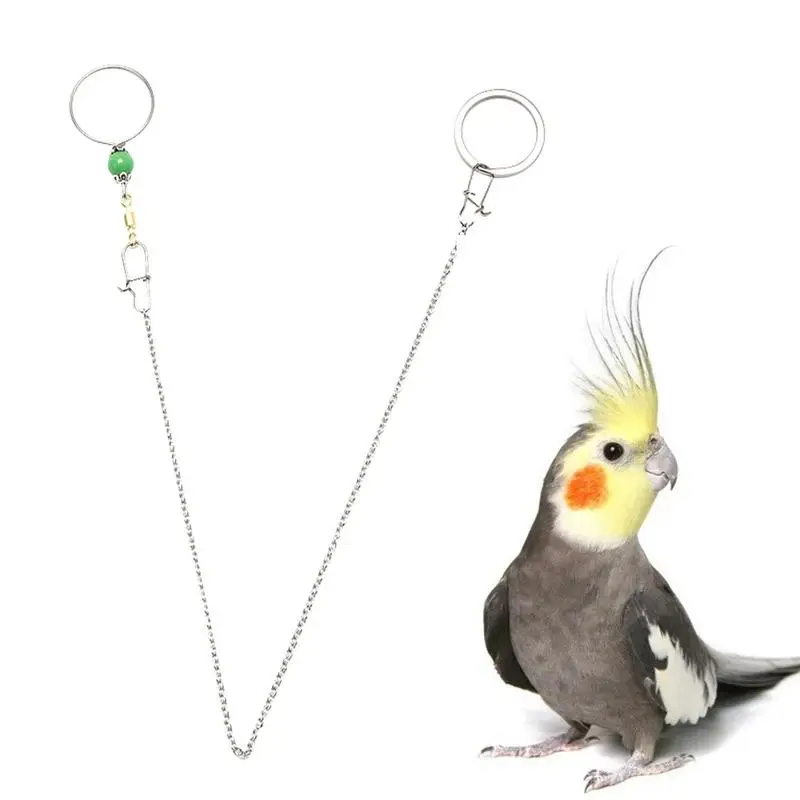 Bird Chain Leash Stainless Bird Collar Chain Safety Buckle Design Safety Foot Chain Small Feathered Animal With 8-character Ring
Bird Chain Leash Stainless Bird Collar Chain Safety Buckle Design Safety Foot Chain Small Feathered Animal With 8-character Ring