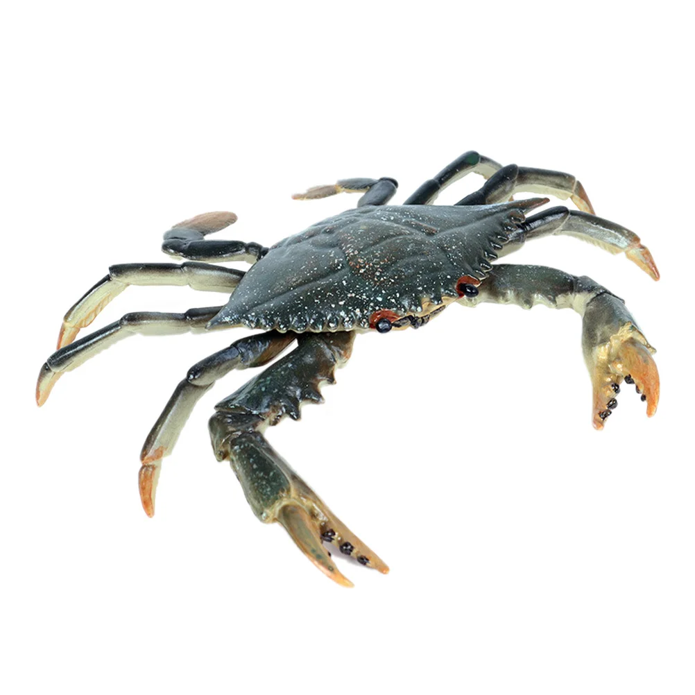 

Simulation Crab Plastic Model Display Models Toys Children's Educational Hairy Marine Animals