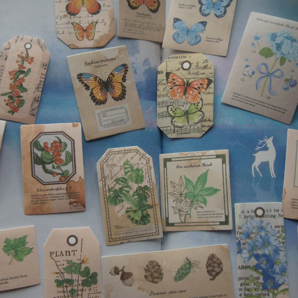 38pcs Natural Plant Butterfly Tag Style Paper Transparent Sticker Scrapbooking DIY Gift Decoration Label
38pcs Natural Plant Butterfly Tag Style Paper Transparent Sticker Scrapbooking DIY Gift Decoration Label