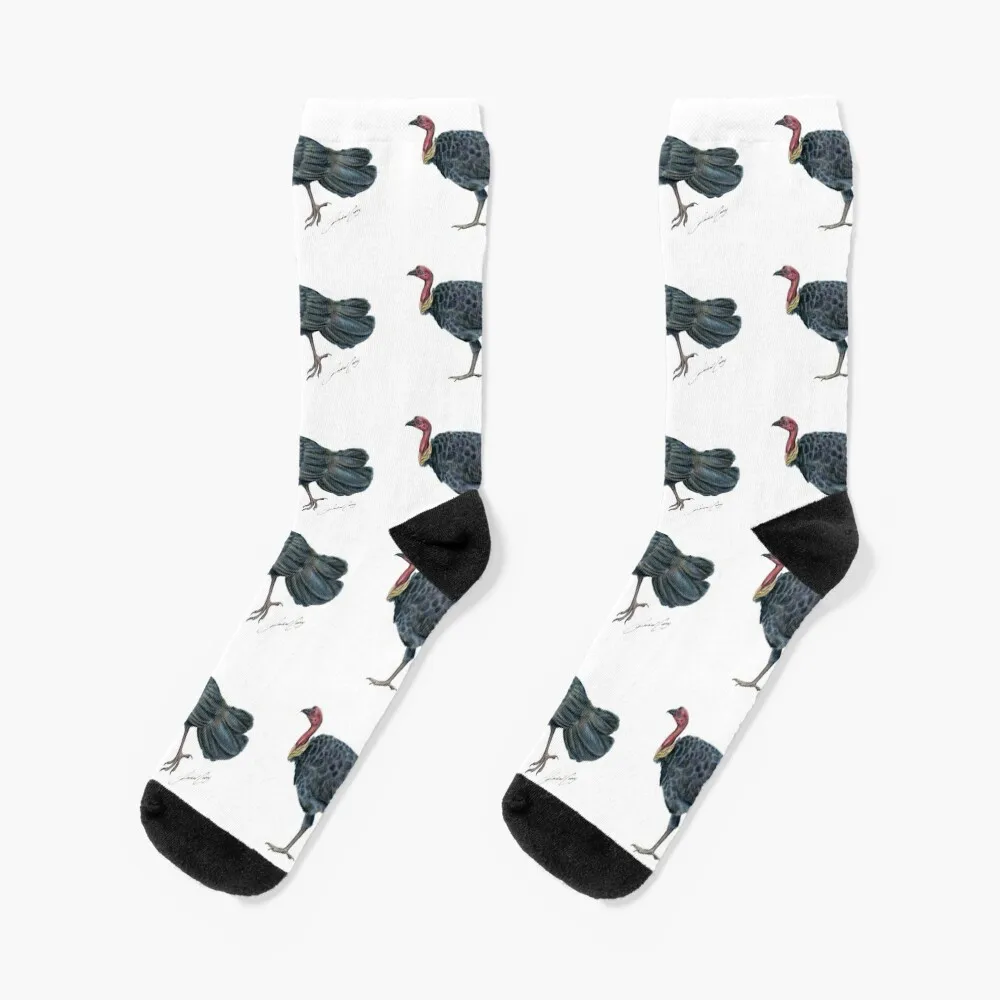 Brush Turkey Bush Turkey Noosa Bird - with artists signature Socks stockings for men Christmas Socks Women
Brush Turkey Bush Turkey Noosa Bird - with artists signature Socks stockings for men Christmas Socks Women