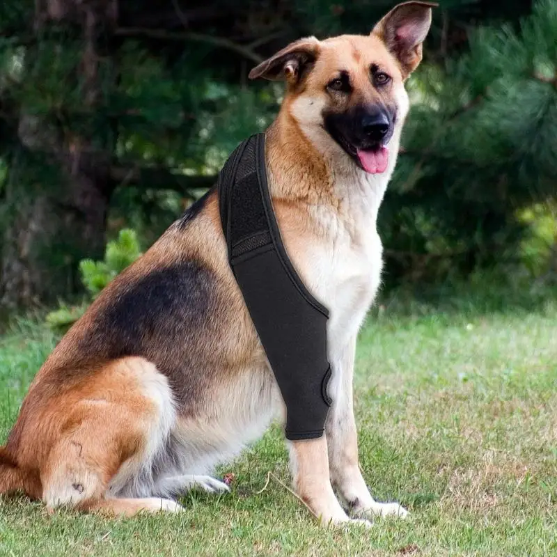 Pet Knee Pads Dog Support Brace For Thigh Front Leg Hock Joint Wrap Adjustable Dog Leg Breathable Injury Recover Leg Braces
Pet Knee Pads Dog Support Brace For Thigh Front Leg Hock Joint Wrap Adjustable Dog Leg Breathable Injury Recover Leg Braces
