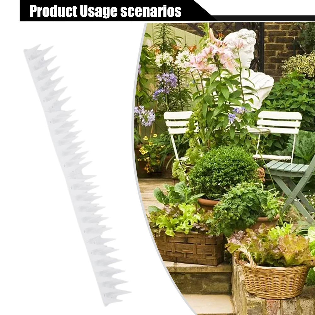 Anti-bird Thorn Bird Spikes High Control Long PP Against Birds Anti Climb Cat Deterrent Pigeon Deterrent 1 Piece
Anti-bird Thorn Bird Spikes High Control Long PP Against Birds Anti Climb Cat Deterrent Pigeon Deterrent 1 Piece