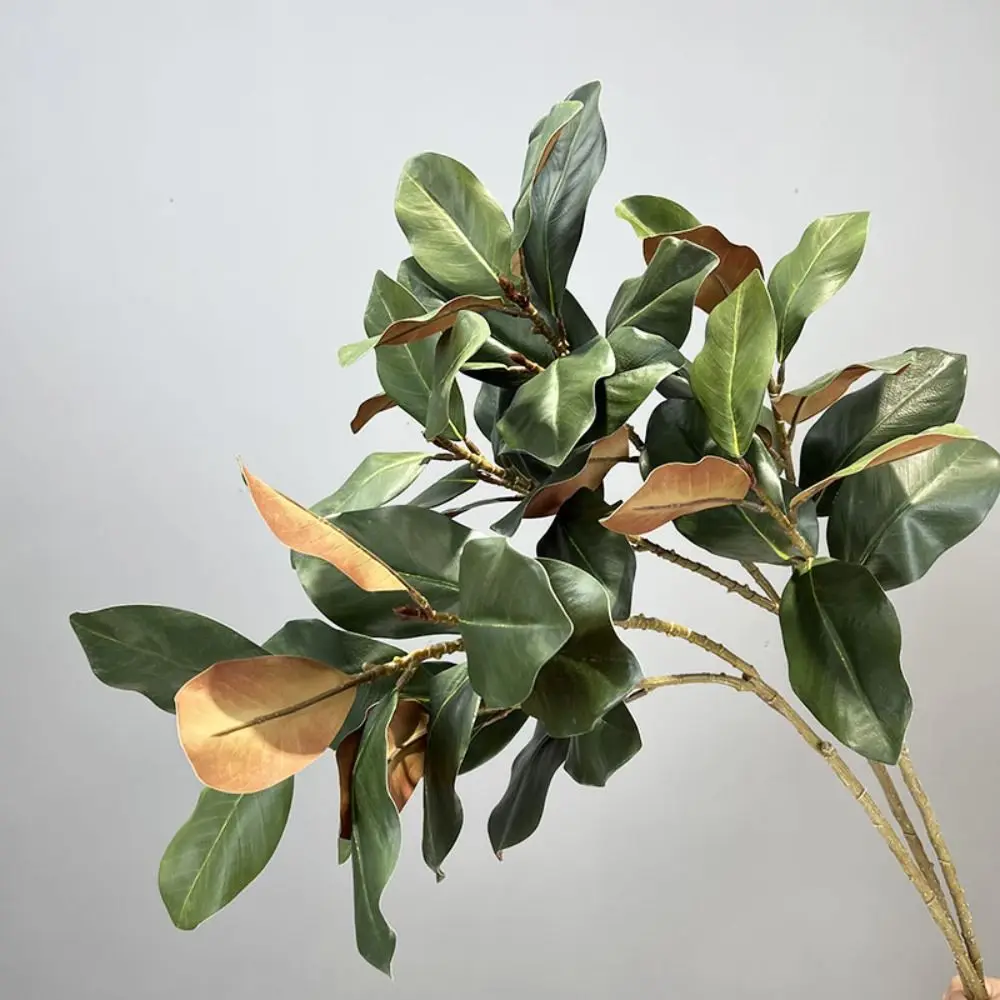 Large Artificial Magnolia Plant Rubber Leaves Handmade Simulated Magnolia Tree Branch 110cm 2 Forks Artificial Plants 
Large Artificial Magnolia Plant Rubber Leaves Handmade Simulated Magnolia Tree Branch 110cm 2 Forks Artificial Plants