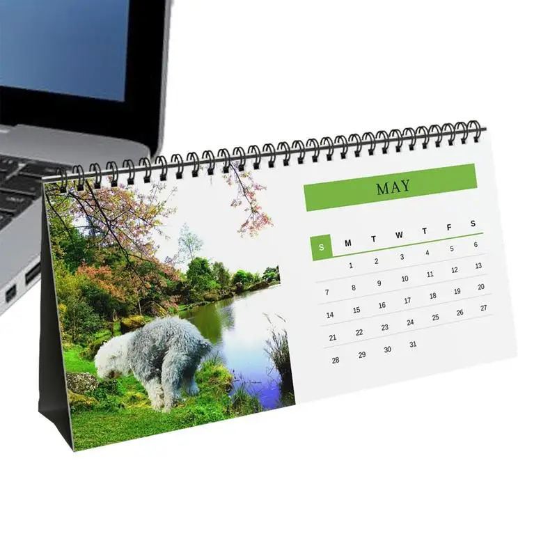 Funny Dog Calendar Desk Humor Calendar With Funny Dog Multi-Purpose Humorous Gifts Eye-Catching Clear Printing On Glossy Paper
Funny Dog Calendar Desk Humor Calendar With Funny Dog Multi-Purpose Humorous Gifts Eye-Catching Clear Printing On Glossy Paper