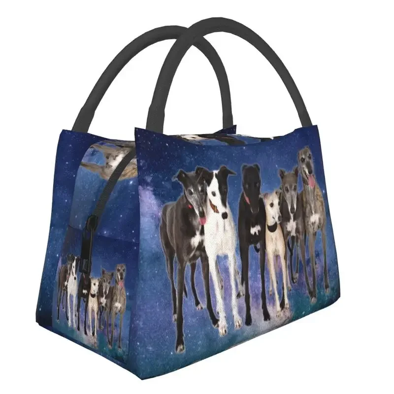 Of Greyhounds Thermal Insulated Lunch Bag Women Whippet Sighthound Dog Lunch Tote for Work Travel Meal Food Box
Of Greyhounds Thermal Insulated Lunch Bag Women Whippet Sighthound Dog Lunch Tote for Work Travel Meal Food Box