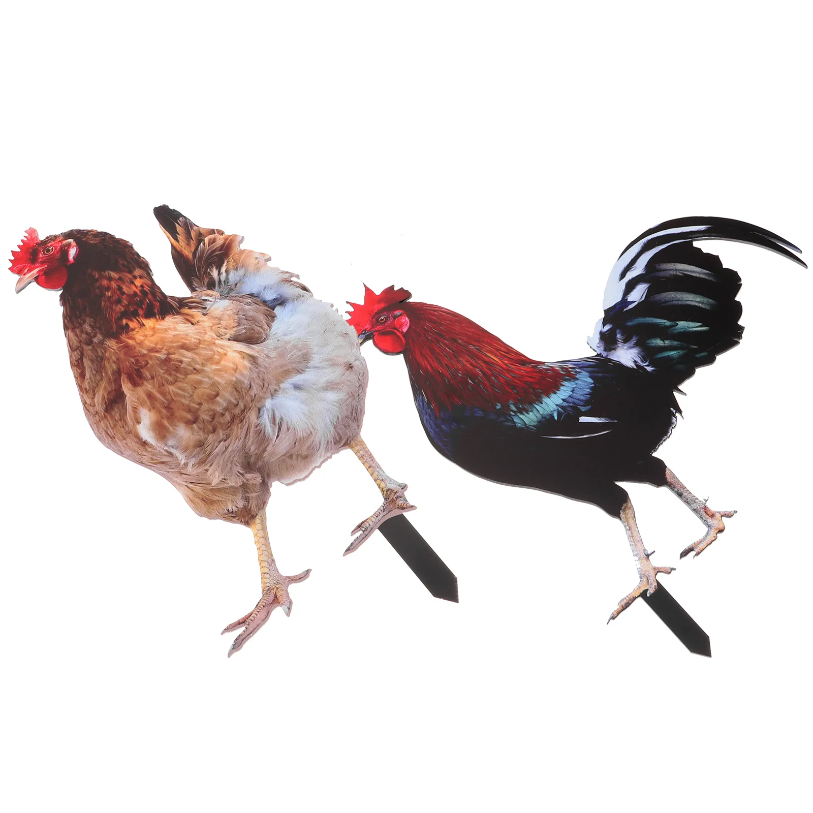 Rooster Garden Stakes Acrylic Chick Signs Outdoor Hen Statue Chicken Yard Art Sculpture Ground Insert Ornament Backyard Patio
Rooster Garden Stakes Acrylic Chick Signs Outdoor Hen Statue Chicken Yard Art Sculpture Ground Insert Ornament Backyard Patio