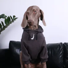 High Quality Big Dog Clothes Tide Handmade Pet Clothes Spring Autumn Large Dog Labrador Golden Hair Handsome Thin Clothes Summer
High Quality Big Dog Clothes Tide Handmade Pet Clothes Spring Autumn Large Dog Labrador Golden Hair Handsome Thin Clothes Summer