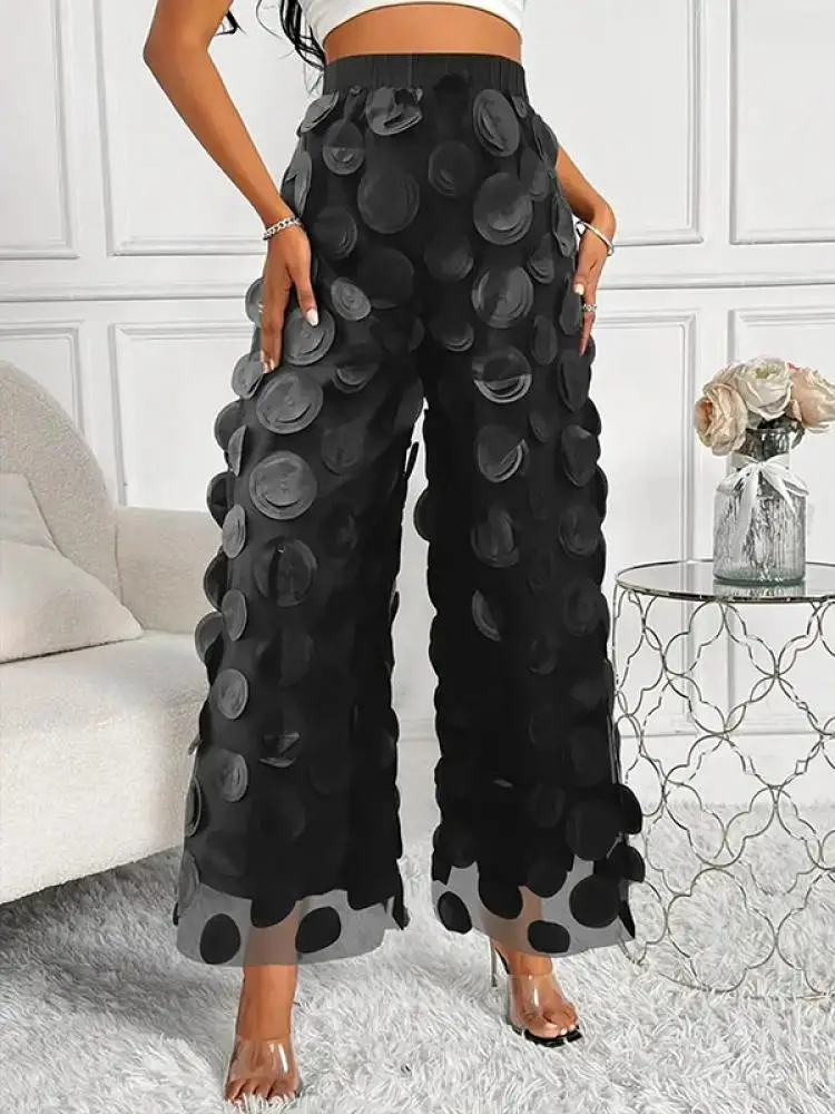 

Bohohipei 2024 New Female Stylish Mesh Polka-Dot Solid Color Wide Leg Pants Spring Summer Elastic Waisted Causal Office Trousers