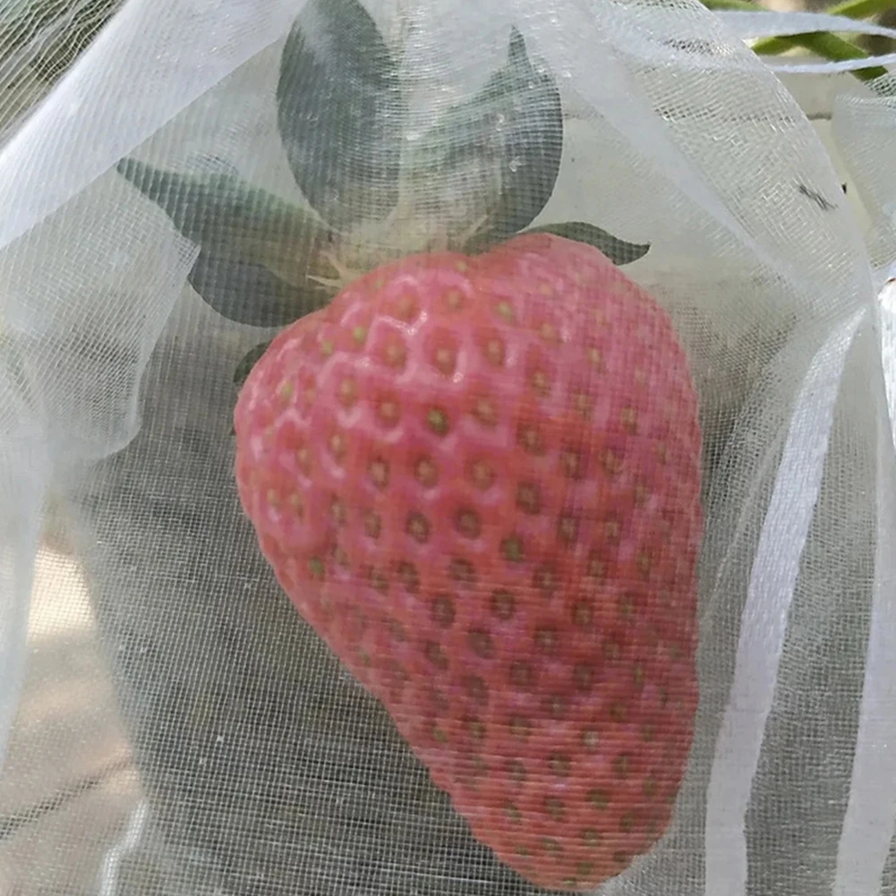 Effective Barrier Drawstring Barrier Drawstring Butterflies See Through Number Of Pieces Organza Package Content
Effective Barrier Drawstring Barrier Drawstring Butterflies See Through Number Of Pieces Organza Package Content