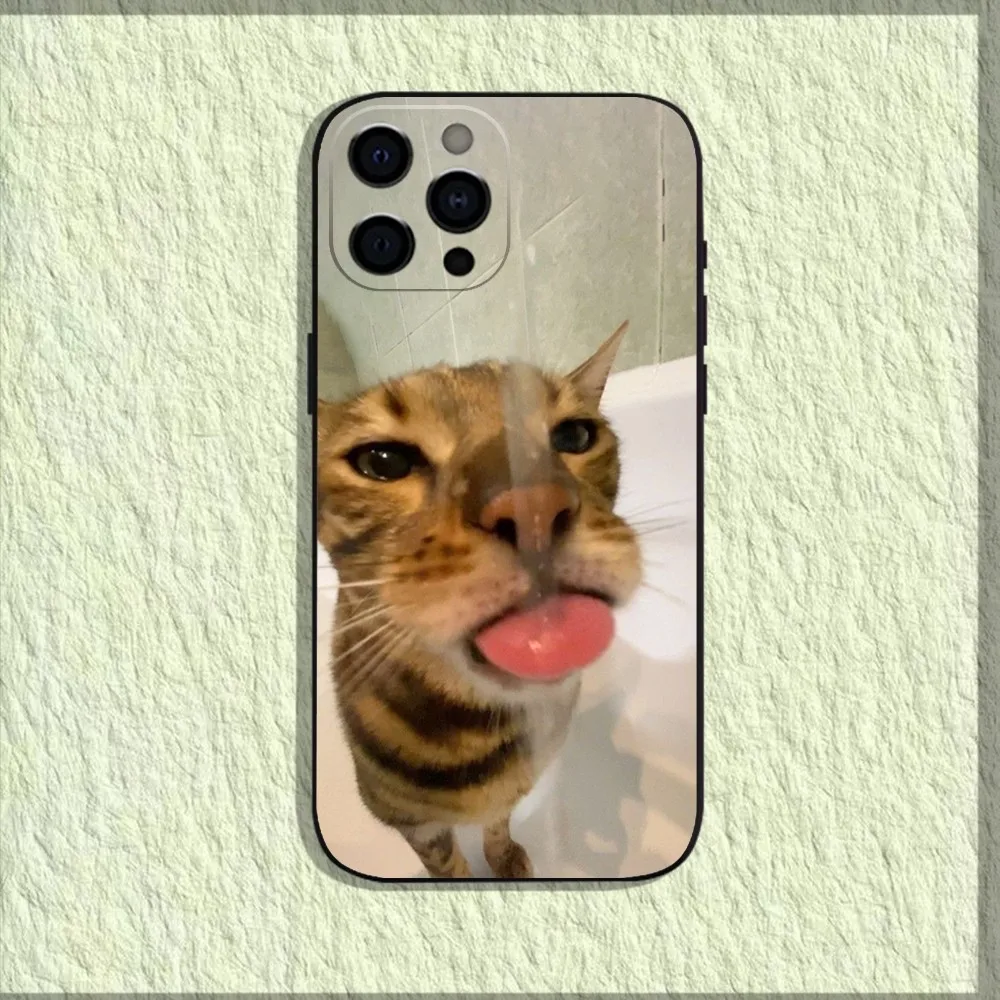Pet Cat Funny memes Phone Case For iPhone 16,15,14,13,12,11,Pro,X,XS,Max,XR,Plus,Mini Soft Black Cover Pet Cat Funny memes Phone Case For iPhone 16,15,14,13,12,11,Pro,X,XS,Max,XR,Plus,Mini Soft Black Cover