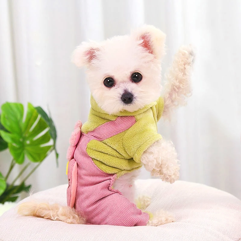 Autumn and Winter Small and Medium-sized Dog Clothes Teddy Cat Thick Warm Four-legged Clothes Flower Pants Pet Supplies
Autumn and Winter Small and Medium-sized Dog Clothes Teddy Cat Thick Warm Four-legged Clothes Flower Pants Pet Supplies