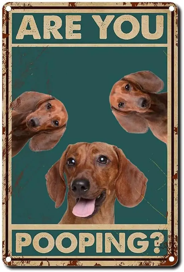 Жестяной знак «такса», веселая ваша какашка, забавное украшение для ванной и туалета, забавные влюбленные таксы, жестяной знак, уличный гараж 8x12
Жестяной знак «такса», веселая ваша какашка, забавное украшение для ванной и туалета, забавные влюбленные таксы, жестяной знак, уличный гараж 8x12