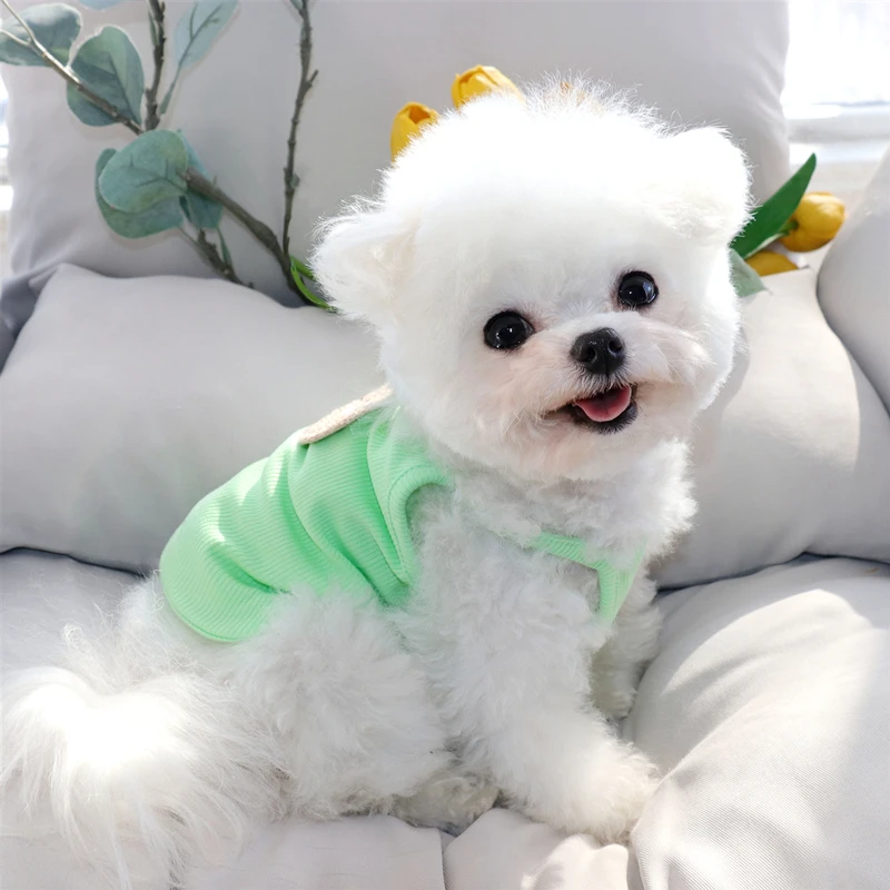 

Green Rabbit Pet Sling Summer Thin Teddy Vest Small Dog Cartoon T-shirt Bichon Frise Breathable Clothes Popular Pet Products