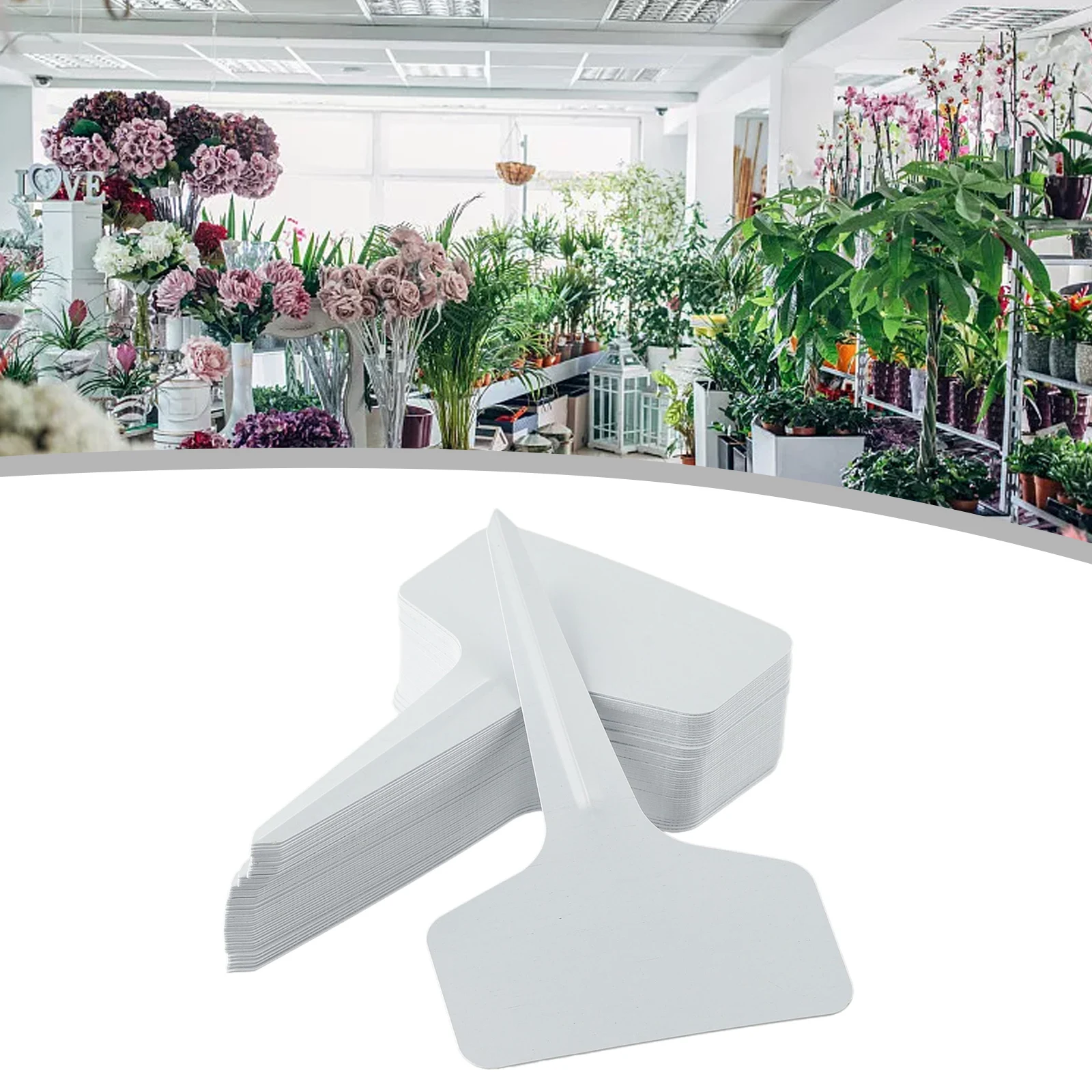 The Perfect Addition to Your Garden 6x10cm Plastic Plant T Type Tags (50pcs/100pcs) for Nursery and Garden Labels
The Perfect Addition to Your Garden 6x10cm Plastic Plant T Type Tags (50pcs/100pcs) for Nursery and Garden Labels