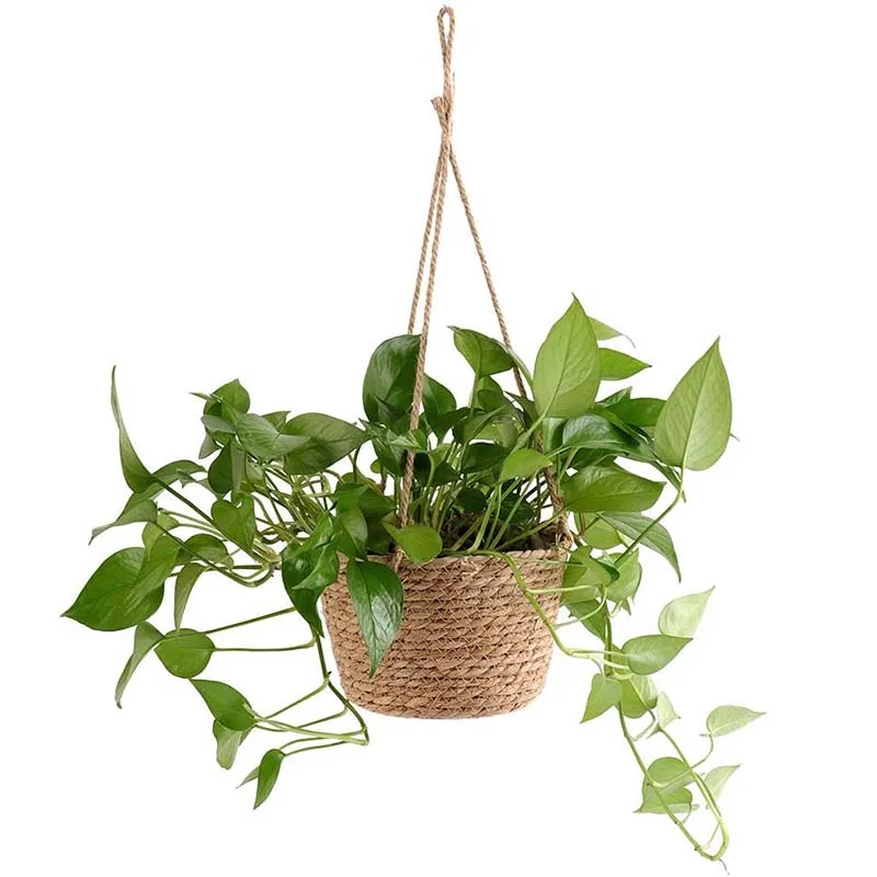 Straw Weaving Garden Pots For Plants Indoor Outdoor Hanging Baskets For Plants Home Balcony Decoration
Straw Weaving Garden Pots For Plants Indoor Outdoor Hanging Baskets For Plants Home Balcony Decoration