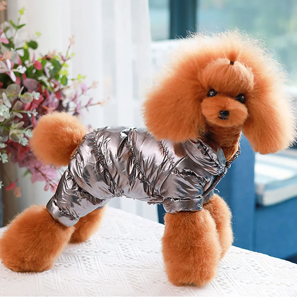 Thicken Plush Jacket for Small and Medium Dogs, Warm Pet Clothing, Puppy Costume, Winter Parkas, Chihuahua and Bulldog
Thicken Plush Jacket for Small and Medium Dogs, Warm Pet Clothing, Puppy Costume, Winter Parkas, Chihuahua and Bulldog
