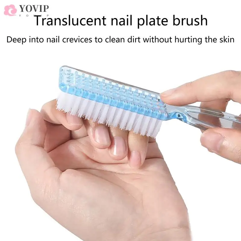 Cleaning Nail Brushes Transparent Long Handle Soft Remove Dust Nail Brushes Multifunctional Five Color Manicure Pedicure Tools
Cleaning Nail Brushes Transparent Long Handle Soft Remove Dust Nail Brushes Multifunctional Five Color Manicure Pedicure Tools