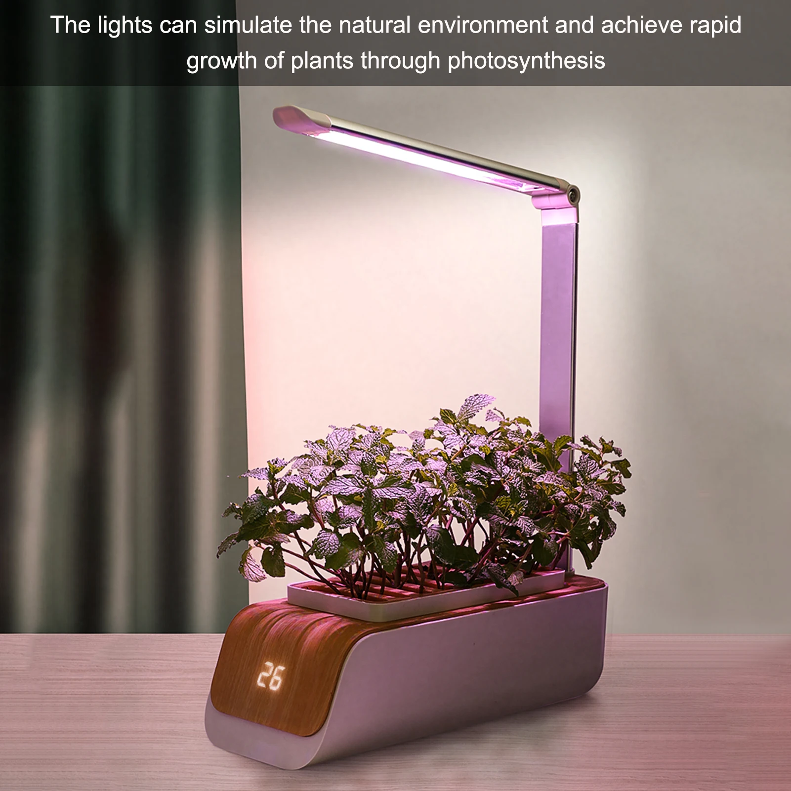 Hydroponics Growing System Indoor Herb Garden Kit with Grow Light Smart Garden for Home and Kitchen Indoor Plant Growing System 12 Hydroponics Growing System Indoor Herb Garden Kit with Grow Light Smart Garden for Home and Kitchen Indoor Plant Growing System 6