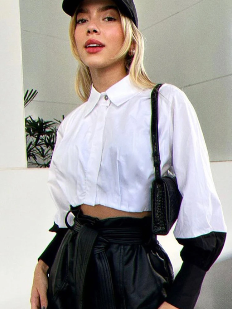 Spring Lapel Collar Office Lady Collision Color Long Lantern Sleeve Top Button Cardigan Shirt for Women Folds Aesthetic Clothing
Spring Lapel Collar Office Lady Collision Color Long Lantern Sleeve Top Button Cardigan Shirt for Women Folds Aesthetic Clothing