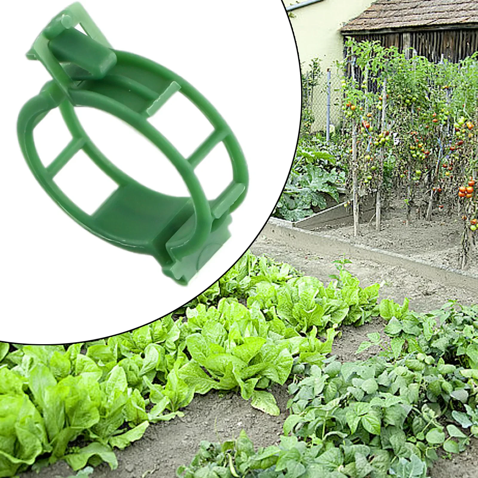 100Pcs Plastic Plant Support Clips Reusable Plant Vine Protection Grafting Fixing Tool For Vegetable Tomato Garden Supplies
100Pcs Plastic Plant Support Clips Reusable Plant Vine Protection Grafting Fixing Tool For Vegetable Tomato Garden Supplies