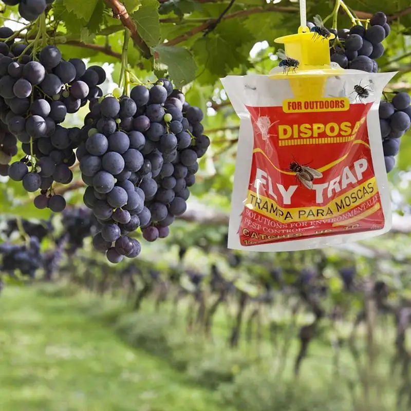 Fly Trap Bag Garden Hanging Fly Catcher Fly Lure Bag Pests Trap With Bait Outdoor Fly Hunter Farm Mosquitoes Trap Fly Catcher
Fly Trap Bag Garden Hanging Fly Catcher Fly Lure Bag Pests Trap With Bait Outdoor Fly Hunter Farm Mosquitoes Trap Fly Catcher