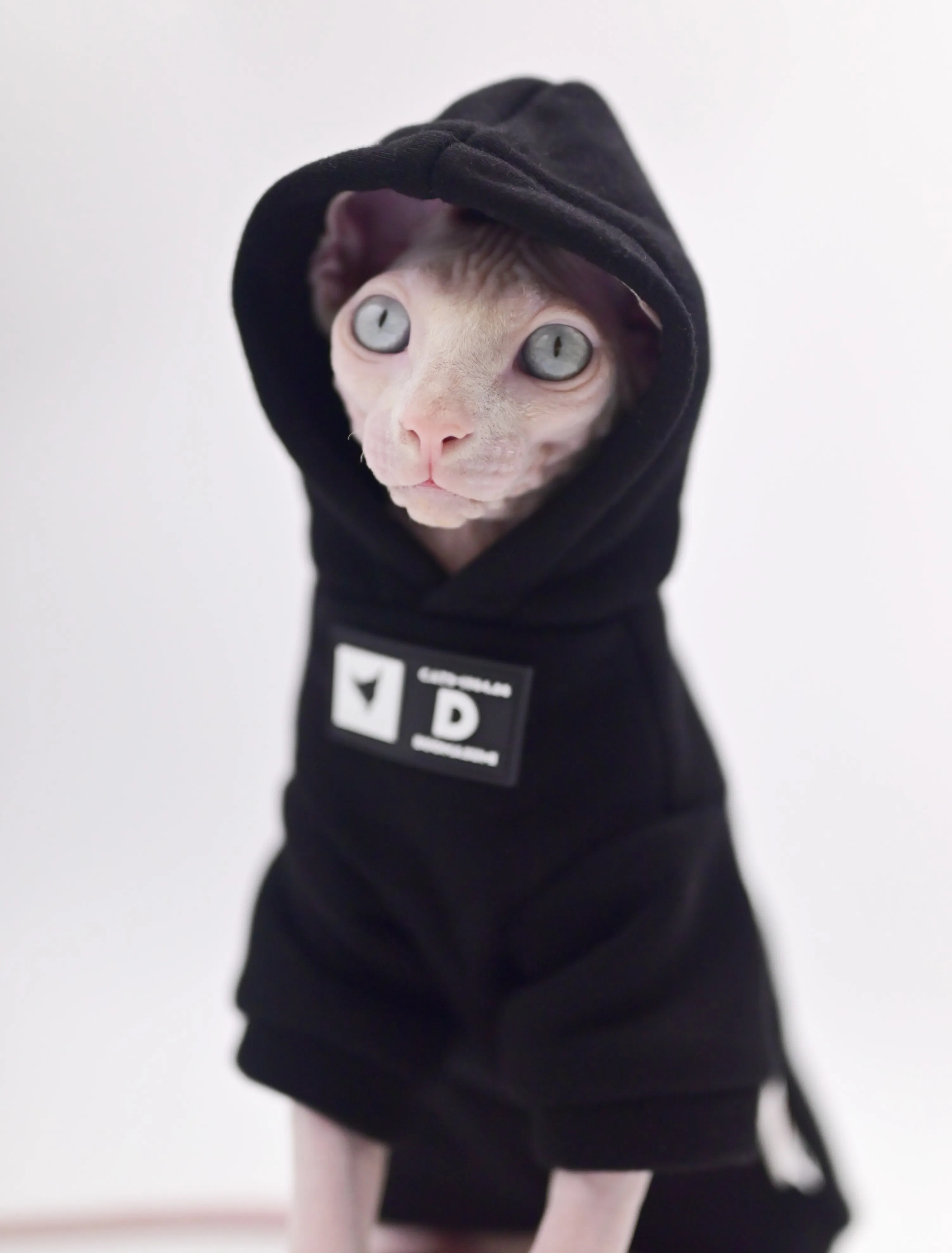 

Hairless Cat Clothes Autumn and Winter Warm Thickness Soft Cat Apparel for Sphynx Cats,Devon Rex Cats and Small Cats