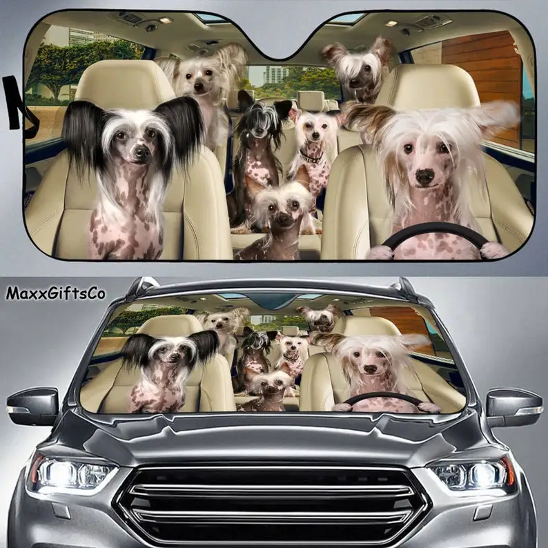 Chinese Crested Car Sun Shade, Chinese Crested Windshield, Dogs Family Sunshade, Dog Car Accessories, Car Decoration, Gift For D
Chinese Crested Car Sun Shade, Chinese Crested Windshield, Dogs Family Sunshade, Dog Car Accessories, Car Decoration, Gift For D