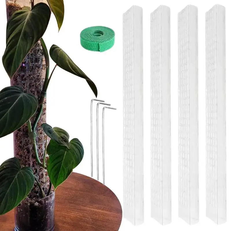 Monstera Moss Pole 24-inch Plant Support Poles Plant Stakes Moss Sticks For Monstera Indoor Creepers Plant Support Extension
Monstera Moss Pole 24-inch Plant Support Poles Plant Stakes Moss Sticks For Monstera Indoor Creepers Plant Support Extension