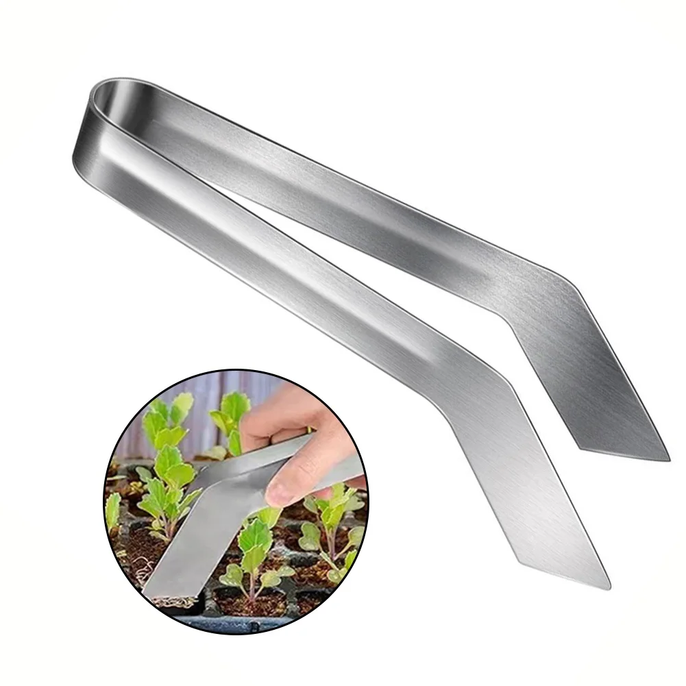 1pc Stainless Steel Plants Remove Transplanting Tongs Plier For Office Desktop Gardening Potting Versatile Supplies
1pc Stainless Steel Plants Remove Transplanting Tongs Plier For Office Desktop Gardening Potting Versatile Supplies