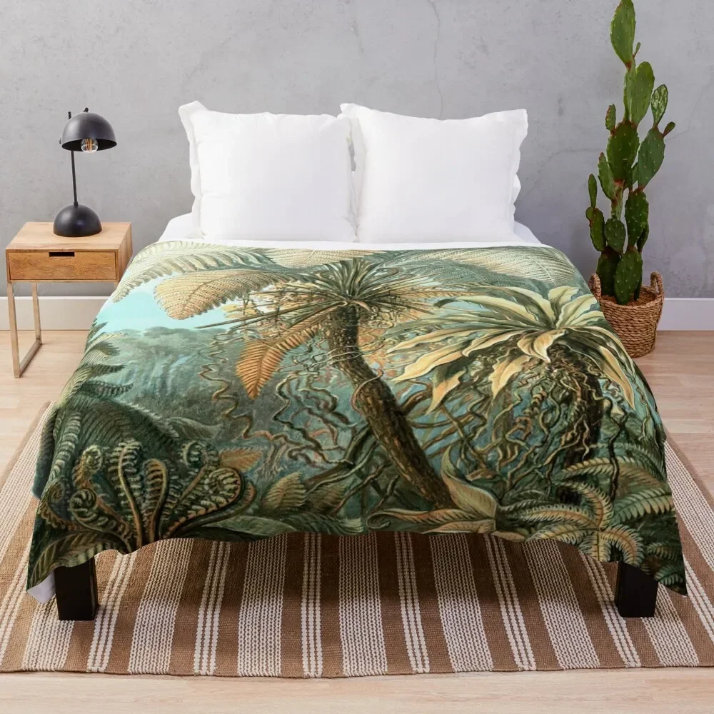 Haeckel Filicinae 92 Drawing Throw Blanket Cute Soft Plaid Decorative Sofas Bed Fashionable Blankets
Haeckel Filicinae 92 Drawing Throw Blanket Cute Soft Plaid Decorative Sofas Bed Fashionable Blankets