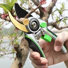 1 pcs Pruning Shears Sharp Labor-Saving Hand Pruner Adjustable Garden Scissors with Safety Lock Fruit Branch Clipper Trimmer
1 pcs Pruning Shears Sharp Labor-Saving Hand Pruner Adjustable Garden Scissors with Safety Lock Fruit Branch Clipper Trimmer