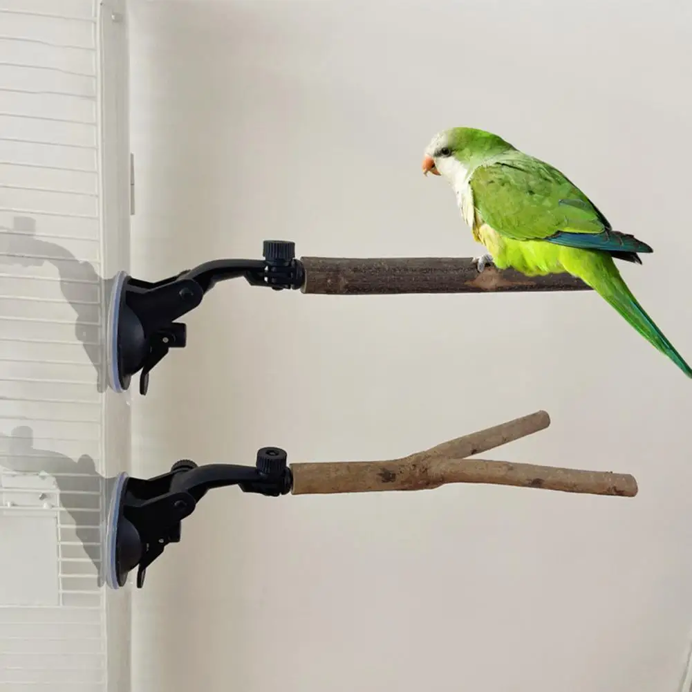 Pet Exercise Stand Natural Wood Parrot Perch Stand with Adjustable Suction Cup for Cockatoo Macaw Parakeet Fast Installation
Pet Exercise Stand Natural Wood Parrot Perch Stand with Adjustable Suction Cup for Cockatoo Macaw Parakeet Fast Installation