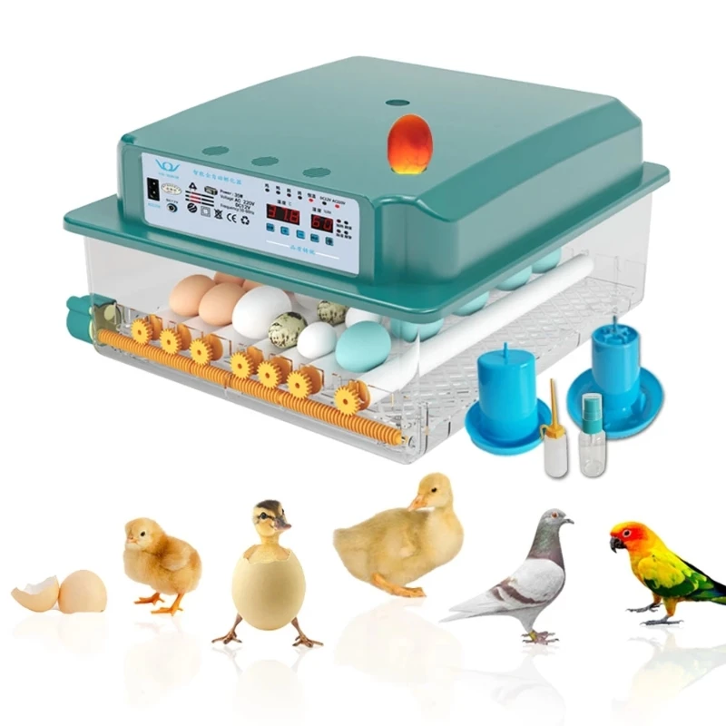 

16 Egg Incubator Fully Automatic Brooder Hatchery Machine Turner Home Incubator Controller Farm Egg Incubator Chickens Bird Egg