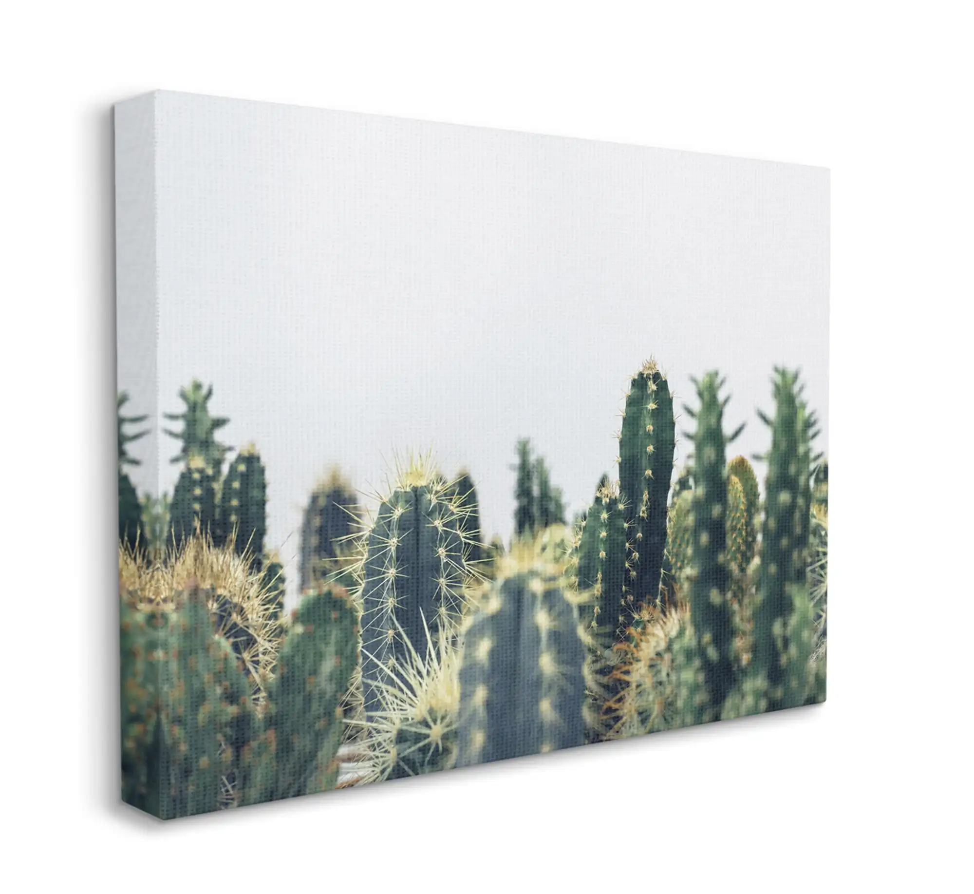 Mainstays Gallery-Wrapped Canvas Minimal Cacti Tops Photograph Print Wall Art, Green, 36" x 48"
Mainstays Gallery-Wrapped Canvas Minimal Cacti Tops Photograph Print Wall Art, Green, 36" x 48"