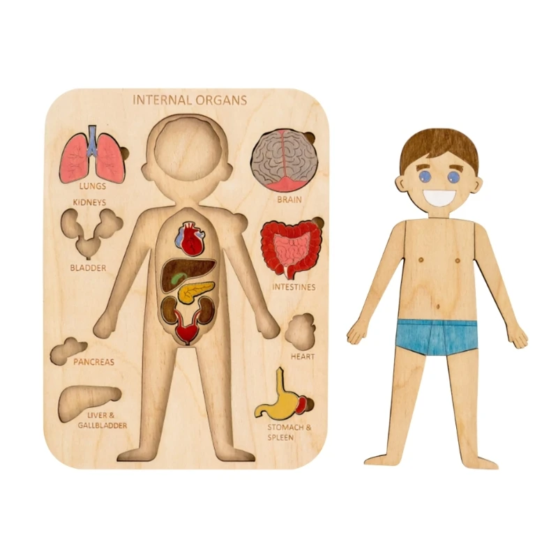 Friendly Wood Human Organs Puzzle Develop Problem Abilities and Concentration Perfect for Home Drop Shipping
Friendly Wood Human Organs Puzzle Develop Problem Abilities and Concentration Perfect for Home Drop Shipping