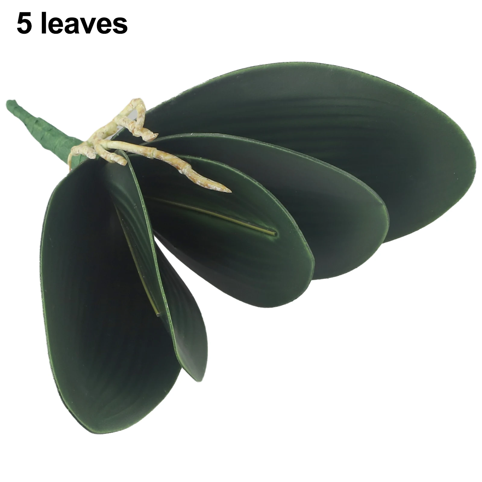 Artificial moth orchid leaves Decoration Leaves Artificial Silk Leaf Wedding Party Butterfly Orchid High Quality
Artificial moth orchid leaves Decoration Leaves Artificial Silk Leaf Wedding Party Butterfly Orchid High Quality