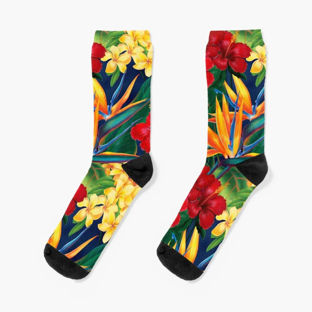 

Tropical Paradise Hawaiian Birds of Paradise Illustration Socks Stockings man summer sheer Men Socks Women's