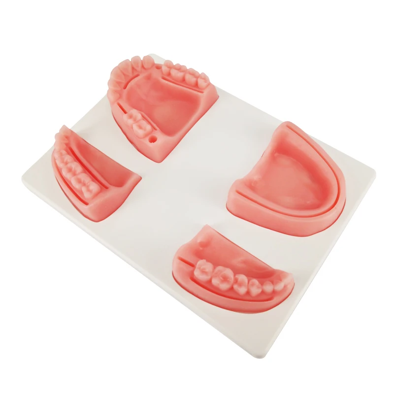 Dental Suture Pad Suture Silicone Medical Student Wound Suture Model Dental Flesh Training Module
Dental Suture Pad Suture Silicone Medical Student Wound Suture Model Dental Flesh Training Module