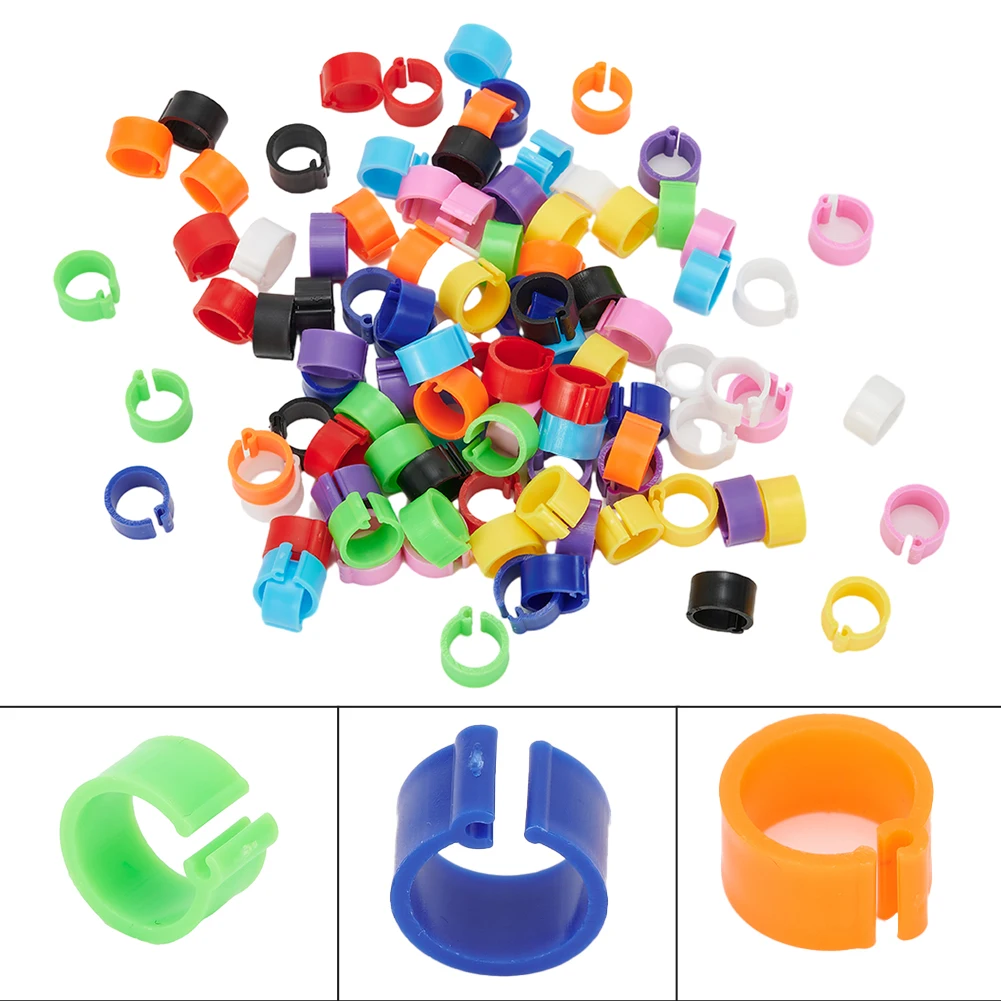 Plastic Re-use 7mm /0.27 Inch 10 colors Set kit Chicks Rings Poultry Leg Band Bird Pigeon Parrot 100Pcs 8mm Useful
Plastic Re-use 7mm /0.27 Inch 10 colors Set kit Chicks Rings Poultry Leg Band Bird Pigeon Parrot 100Pcs 8mm Useful