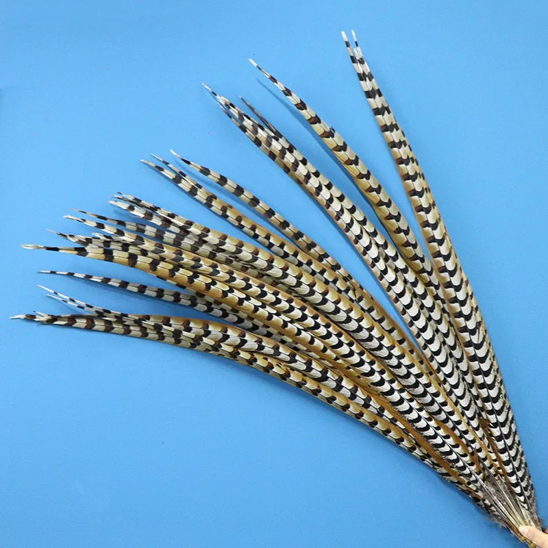 25Pc 130-140CM Natural Reeves Pheasant Tails Feathers Real Lady Amherst Pheasant Chicken Plumes For Wedding Carnival Decorations
25Pc 130-140CM Natural Reeves Pheasant Tails Feathers Real Lady Amherst Pheasant Chicken Plumes For Wedding Carnival Decorations
