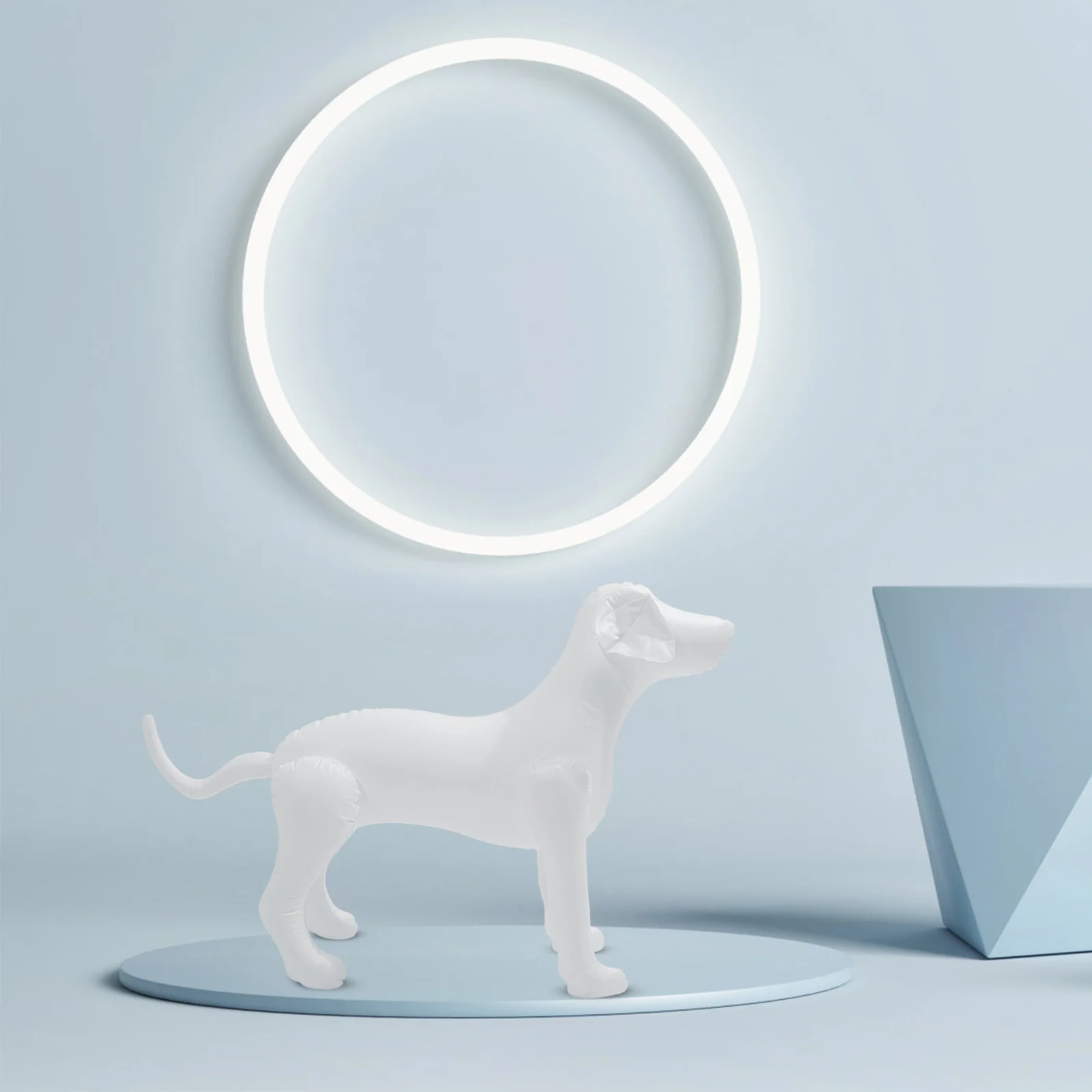 Dog Mannequin Self Standing Inflatable Dogs Models Pet Animal Costumes Display Clothing Shop Dog Mannequin Standing Model
Dog Mannequin Self Standing Inflatable Dogs Models Pet Animal Costumes Display Clothing Shop Dog Mannequin Standing Model